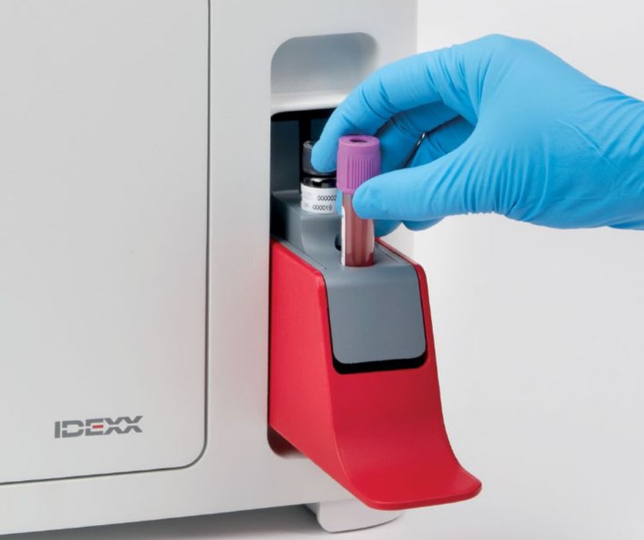 Idexx procyte bloedanalysetoestel