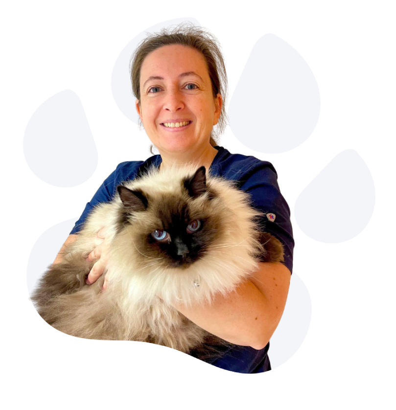 Angie - Dierenartsenpraktijk De Kapelhoek