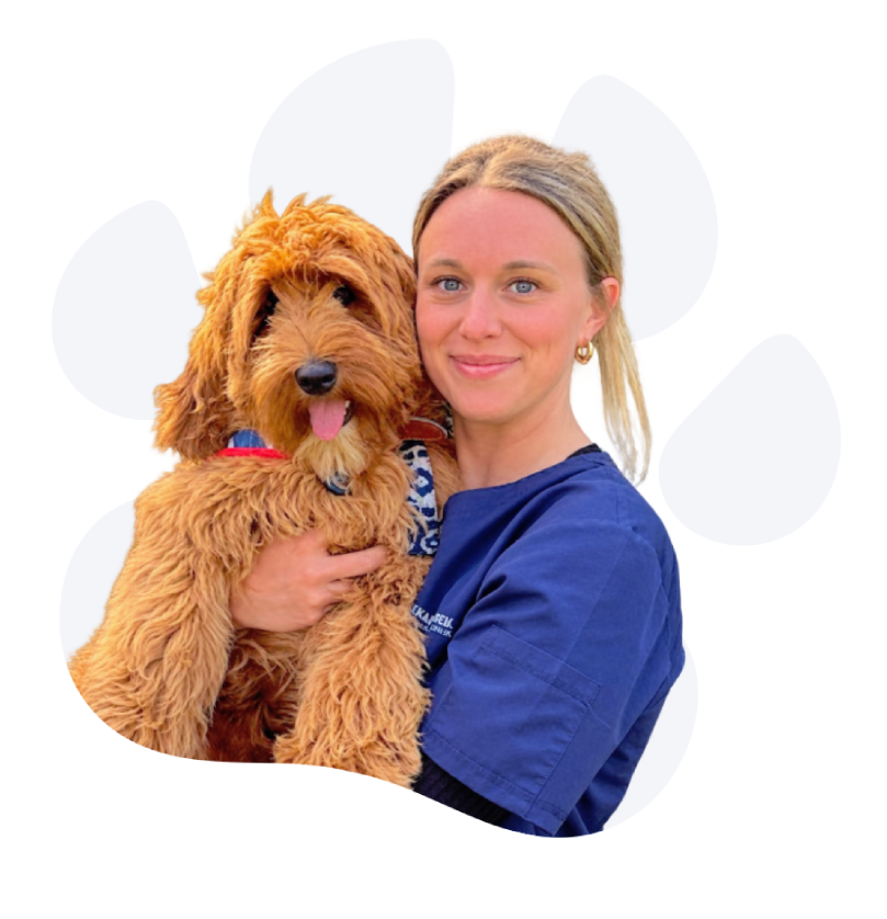 Margot Dierenartsenpraktijk De Kapelhoek