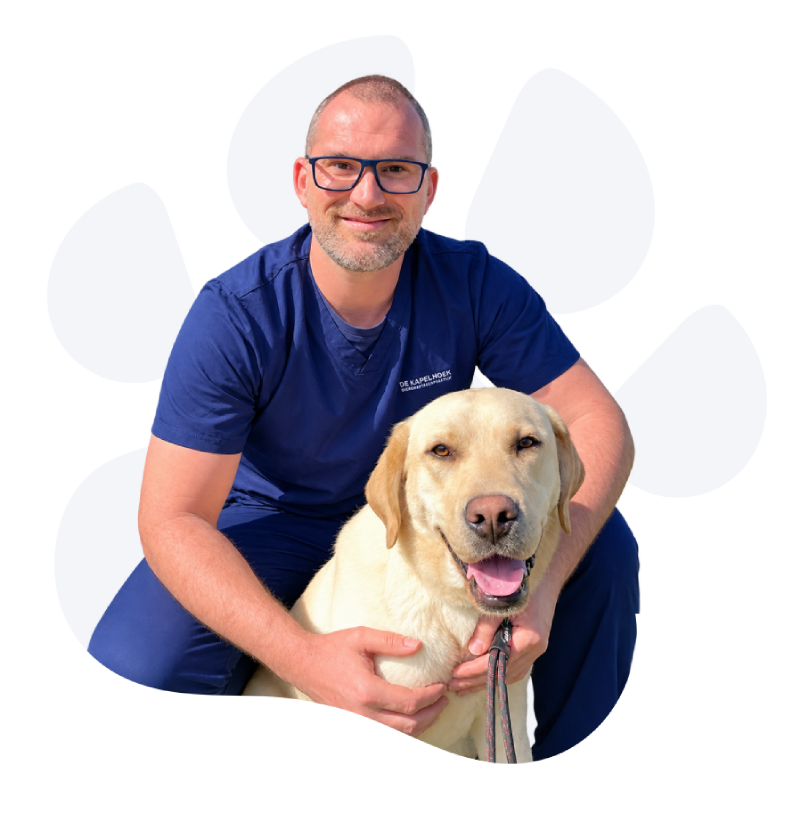Yves - Dierenartsenpraktijk De Kapelhoek